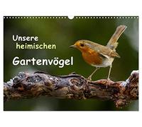 Calendar 2027 · US Version · Our native garden birds | Beautiful photographs that bring the splendor, diversity and uniqueness of… · 17" × 12" Landscape · CALVENDO Wall Calendar