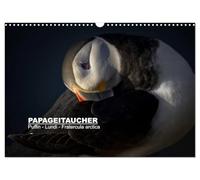 Calendar 2027 · US Version · Papageitaucher: Shearwater - Monday | Fratercula arctica · Puffins: Photogenic clowns of the air · 17" × 12" Landscape · CALVENDO Wall Calendar
