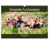 Calendar 2027 · US Version · Playful fox cubs - home alone | Fox pups discover the world · 17" × 12" Landscape · CALVENDO Wall Calendar