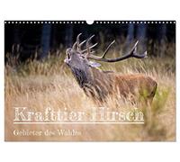 Calendar 2027 · US Version · Power animal deer | The special magic of power animal deer · 17" × 12" Landscape · CALVENDO Wall Calendar