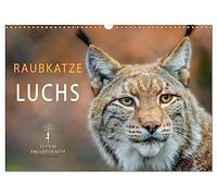 Calendar 2027 · US Version · Predatory cat lynx | The lynx, long hunted and almost extinct · The shy wild animal is back again · 17" × 12" Landscape · CALVENDO Wall Calendar