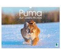 Calendar 2027 · US Version · Puma: On quiet paws | Mountain lion: Sl eline predator in rough nature · 17" × 12" Landscape · CALVENDO Wall Calendar