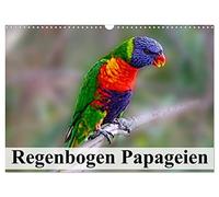 Calendar 2027 · US Version · Rainbow parrots | The brightly colored islanders from the South Pacific region · 17" × 12" Landscape · CALVENDO Wall Calendar