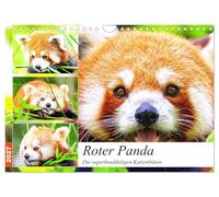 Calendar 2027 · US Version · Red Panda. The super cuddly cat bears | The cute fire foxes from Asia · 12" × 8" Landscape · CALVENDO Wall Calendar