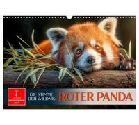 Calendar 2027 · US Version · Red panda - the voice of the wild | A cat bear to fall in love with · 17" × 12" Landscape · CALVENDO Wall Calendar