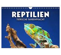 Calendar 2027 · US Version · Reptiles - animal colorfulness | Modern dinosaurs · 12" × 8" Landscape · CALVENDO Wall Calendar