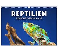Calendar 2027 · US Version · Reptiles - animal colorfulness | Modern dinosaurs · 17" × 12" Landscape · CALVENDO Wall Calendar