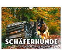 Calendar 2027 · US Version · Sheepdogs - The good-natured companions | Vigilant and loyal · 12" × 8" Landscape · CALVENDO Wall Calendar