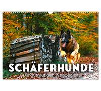 Calendar 2027 · US Version · Sheepdogs - The good-natured companions | Vigilant and loyal · 17" × 12" Landscape · CALVENDO Wall Calendar