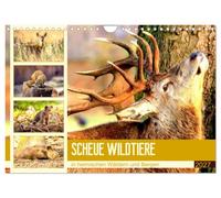 Calendar 2027 · US Version · Shy wild animals in native forests and | mountains · The imposing and amazingly beautiful wildlife in Central Europe · 12" × 8" Landscape · CALVENDO Wall Calendar