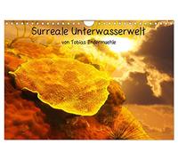 Calendar 2027 · US Version · Surreal underwater world | An underwater dream: the sun and corals merge in these images, creating a… · 12" × 8" Landscape · CALVENDO Wall Calendar