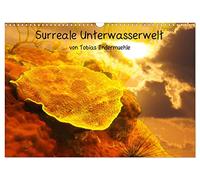 Calendar 2027 · US Version · Surreal underwater world | An underwater dream: the sun and corals merge in these images, creating a… · 17" × 12" Landscape · CALVENDO Wall Calendar