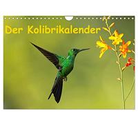 Calendar 2027 · US Version · The colibri calendar | Stunning shots of hummingbirds from Costa Rica · 12" × 8" Landscape · CALVENDO Wall Calendar
