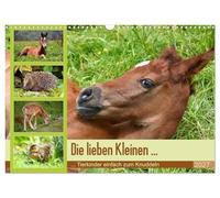 Calendar 2027 · US Version · The dear little ones... Animal children simply | to cuddle · Cuddly animal children · beautiful photos of the offspring · 17" × 12" Landscape · CALVENDO Wall Calendar
