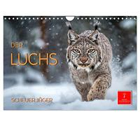 Calendar 2027 · US Version · The lynx - shy hunter | The lynx · the "brush ear · the largest cat in Europe · 12" × 8" Landscape · CALVENDO Wall Calendar