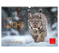 Calendar 2027 · US Version · The lynx - shy hunter | The lynx · the "brush ear · the largest cat in Europe · 17" × 12" Landscape · CALVENDO Wall Calendar