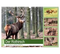 Calendar 2027 · US Version · The red deer - The king in our forests | The red deer is probably the most imposing animal in our forests · 17" × 12" Landscape · CALVENDO Wall Calendar