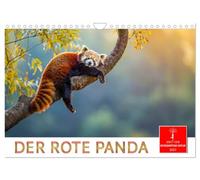 Calendar 2027 · US Version · The Red Panda | Cute cat bear to fall in love with · 12" × 8" Landscape · CALVENDO Wall Calendar