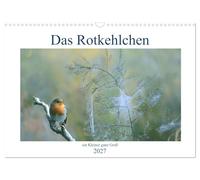 Calendar 2027 · US Version · The robin, a little one very big | It took me a long time to show this beautiful series · 17" × 12" Landscape · CALVENDO Wall Calendar