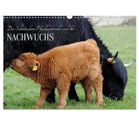 Calendar 2027 · US Version · The Scottish Highland Cattle and their | offspring · Fuzzy giants and cute offspring · 17" × 12" Landscape · CALVENDO Wall Calendar