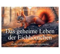 Calendar 2027 · US Version · The secret life of squirrels | A year between tree s and nut hiding places · Squirrels all grown up · 12" × 8" Landscape · CALVENDO Wall Calendar