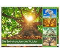 Calendar 2027 · US Version · The time travelers of the forest | Ancient trees radiate an aura of wisdom and continuity, and their presence… · 12" × 8" Landscape · CALVENDO Wall Calendar