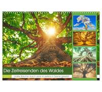 Calendar 2027 · US Version · The time travelers of the forest | Ancient trees radiate an aura of wisdom and continuity, and their presence… · 17" × 12" Landscape · CALVENDO Wall Calendar