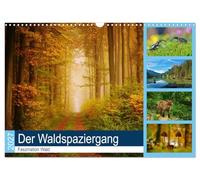Calendar 2027 · US Version · The walk in the forest | The beautiful German forest is always worth a visit · 17" × 12" Landscape · CALVENDO Wall Calendar