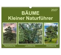 Calendar 2027 · US Version · Trees Small nature guide | The determination of native trees · 17" × 12" Landscape · CALVENDO Wall Calendar