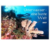 Calendar 2027 · US Version · Underwater - a colorful world | Tropical seas are teeming with colorful life · 17" × 12" Landscape · CALVENDO Wall Calendar