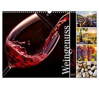 Calendar 2027 · US Version · Vine juice - wine enjoyment | Discover the magic of wine enjoyment · 17" × 12" Landscape · CALVENDO Wall Calendar