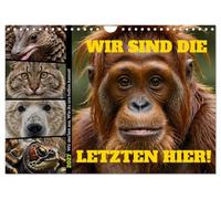 Calendar 2027 · US Version · We are the last ones here! We are dying out | How you can help us · Animals threatened with extinction and practical tips on… · 12" × 8" Landscape · CALVENDO Wall Calendar