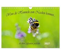 Calendar 2027 · US Version · When the bumblebees come to snack, your garden | is perfect · Insects in a colorful world of flowers · 12" × 8" Landscape · CALVENDO Wall Calendar