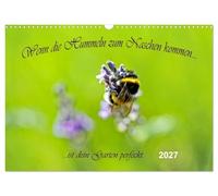 Calendar 2027 · US Version · When the bumblebees come to snack, your garden | is perfect · Insects in a colorful world of flowers · 17" × 12" Landscape · CALVENDO Wall Calendar