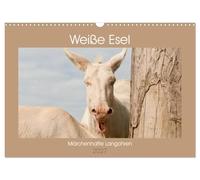 Calendar 2027 · US Version · White donkeys - fairy tale long ears | Light bringer baroque ass · 17" × 12" Landscape · CALVENDO Wall Calendar