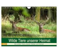 Calendar 2027 · US Version · Wild animals of our homeland | The wild animals in Germany's forests, on the coast and in our cultivated land · 12" × 8" Landscape · CALVENDO Wall Calendar