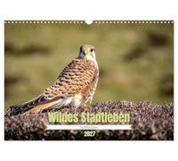 Calendar 2027 · US Version · Wild city life in Munich | A large number of wild animals and insects live in big cities · 17" × 12" Landscape · CALVENDO Wall Calendar