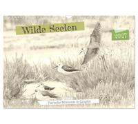 Calendar 2027 · US Version · Wild souls - Animal moments in graphite | Wild beauty, drawn in graphite · 17" × 12" Landscape · CALVENDO Wall Calendar