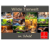 Calendar 2027 · US Version · Wildlife in the forest | Shy forest dwellers skillfully staged · 17" × 12" Landscape · CALVENDO Wall Calendar