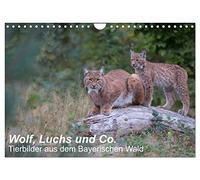 Calendar 2027 · US Version · Wolf, lynx and co. - animal pictures from the | Bavarian Forest · Animal pictures, taken in the animal enclosures in the… · 12" × 8" Landscape · CALVENDO Wall Calendar