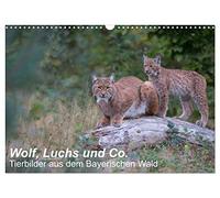 Calendar 2027 · US Version · Wolf, lynx and co. - animal pictures from the | Bavarian Forest · Animal pictures, taken in the animal enclosures in the… · 17" × 12" Landscape · CALVENDO Wall Calendar