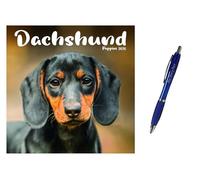 calendars Dachshund Puppies Mini 2026 + EXCLUSIVE LIMITED EDITION PEN
