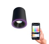 CALEX - Smart LED Surface Mounted Spot Black, WiFi Ceiling Light, CCT 2700-6500K + RGB, App and Works with Amazon Alexa and Google Home, Dimmable, 6.5W