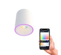 CALEX - Smart LED Surface Mounted Spot White, WiFi Ceiling Light, CCT 2700-6500K + RGB, App and Works with Amazon Alexa and Google Home, Dimmable, 6.5W