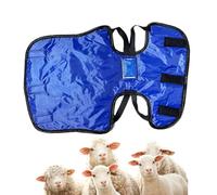 Calf Coat - Waterproof Warm Clothing 28 inches, High Performance Calf Blanket, Adjustable Strap Cover, Ideal for Barn, Willow, Outdoor Willow, Protection in Winter Night, Rain Season, Temperature