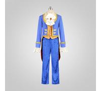 CALFCOS Tokyo Disneyland (TDL) Beauty and the Beast Prince Adam Replica Costume, Full Order, XXL Size