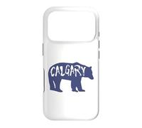 Calgary Alberta Bear Case for iPhone 17 Pro