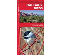 Calgary Birds: A Folding Pocket Guide to Familiar Species (A Pocket Naturalist Guide) (Pocket Naturalist Guide Series)