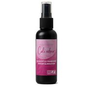 Cali Odour Eucalyptus Fragrance Odour Elimination Mist Spray, 100ml, Professional Perfume Air Freshener, Luxury Room Odour Neutraliser Scent. Air Spritzer Spray.