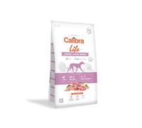Calibra Dog Life Junior Large Breed Lamb 1 Bag